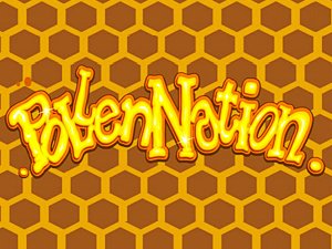 Игровой автомат Pollen Nation